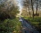 Steven_Barritt_WickWood_40.jpg