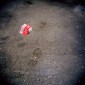 Steven_Barritt_Nocturnes_07.jpg
