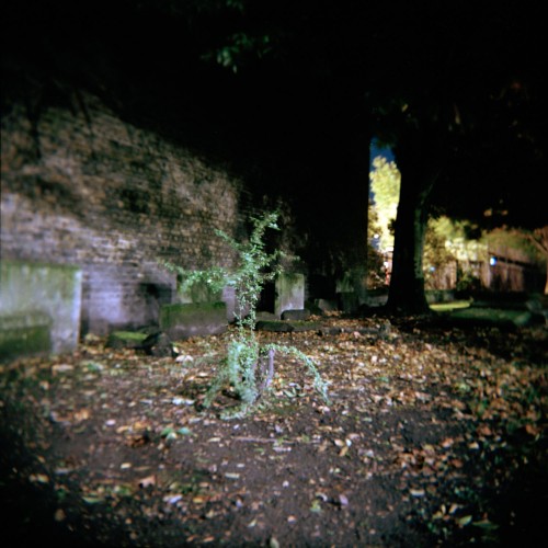 Steven_Barritt_Nocturnes_03.jpg