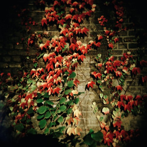Steven_Barritt_Nocturnes_10.jpg